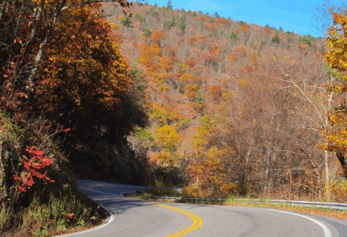 Couple Discovers Bigfoot while Driving in West Virginia