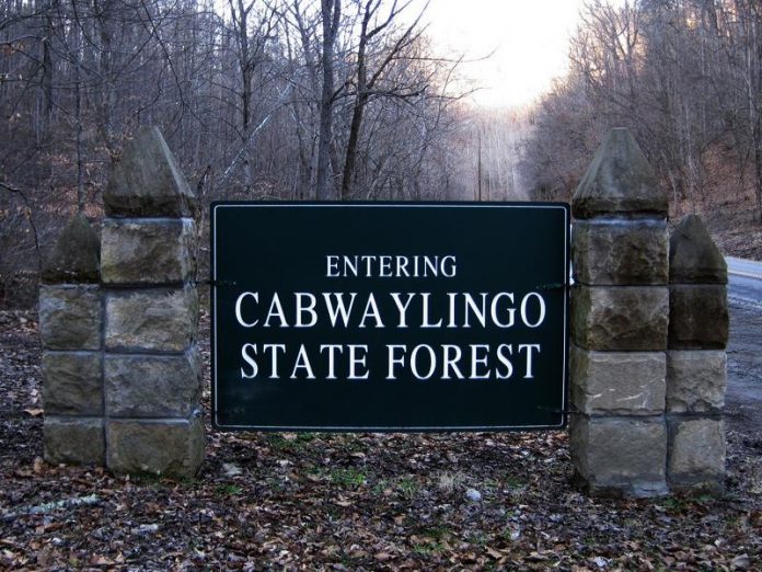 Cabwaylingo Bridge Ghost