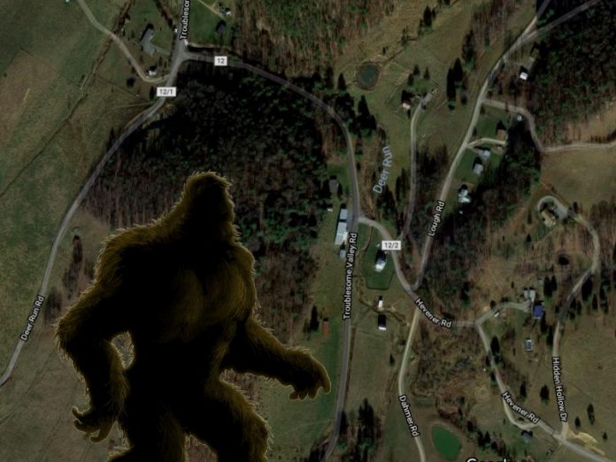 Bigfoot Sighting